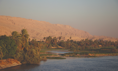 Ägypten, Herkunft der Bio- und Standard-Saat